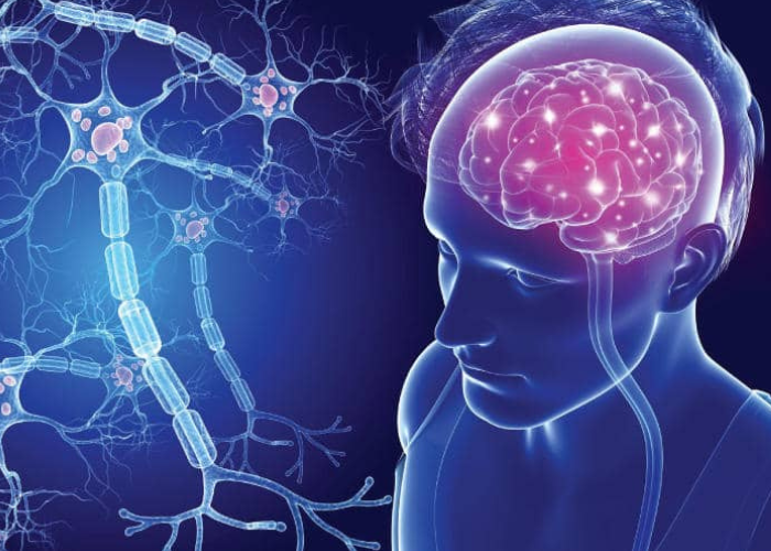 Multiple Sclerosis
